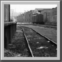 Bachmann