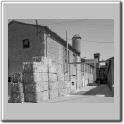 L'Ametlla_de_Casserres_16_A2.jpg