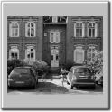 Nordwolle_17_A1.jpg