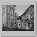Nordwolle_17_E7.jpg