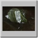 Spitzkohl_22_A0c.jpg